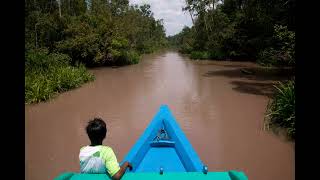 Tanjung Puting National Park