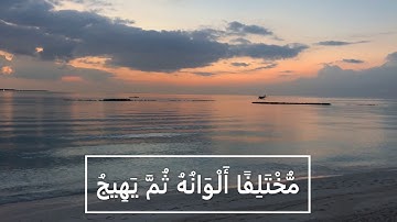 تصوير الآية ألم تر أن الله أنزل من السماء ماء فسلكه ينابيع في الأرض ثم يخرج به زرعا مختلفا ألوانه
