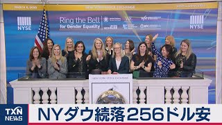 ＮＹダウ続落 256ドル安