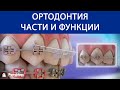 Ортодонтия - Части и функции ©