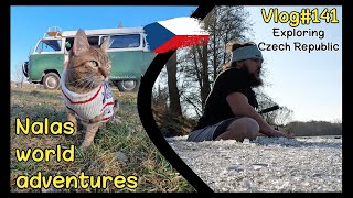 Icy dip, kingfishers and skull castle  Vlog #141