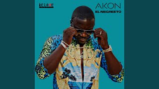 Video thumbnail of "Akon - Boom Boom (feat. Anitta)"