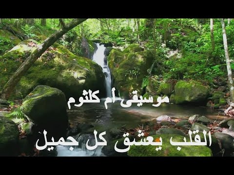 موسيقى أم كلثوم القلب يعشق كل جميل 