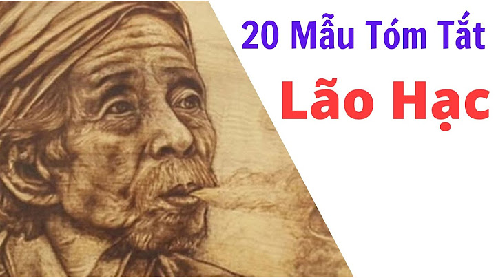 Tóm tắt văn bản lão hạc lớp 8 năm 2024