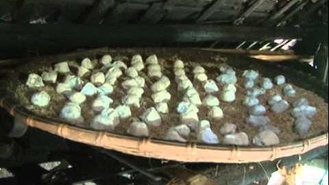 (PS): RƯỢU CẦN - NÉT ĐẸP VĂN HÓA ĐỒNG BÀO DÂN TỘC MƯỜNG