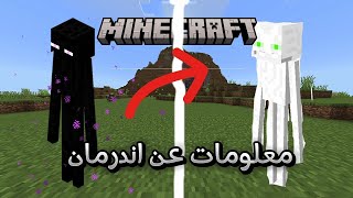 10 معلومات عن اندرمان في ماين كرافت |Minecraft