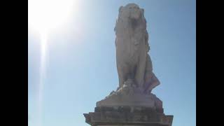 MVI_4865.AVI