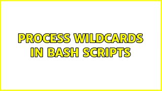 process wildcards in bash scripts (2 Solutions!!)