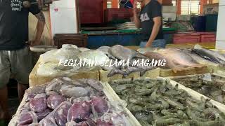 Magang Industri Perikanan - MBKM