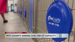 Pitt County shelter seeks new laws to tackle overcrowding