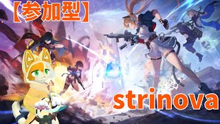 【Strinova】【参加型】2D？3Ⅾ？私はまけないよ！🐱【みけ猫妖精Vtuber】