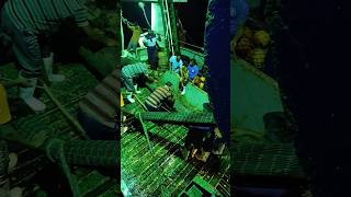 Life as an Onboard Observer in the deep sea was the most adventurous chapter of my career 🌊⚓🐟