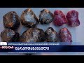 ნარკოდანაშაულის ბრალდებით 2 პირი დააკავეს