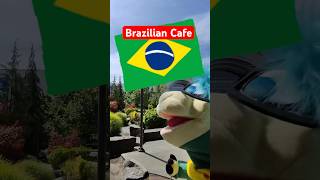 A taste of Brazil in Seattle! #puppet #foodreview #brazil