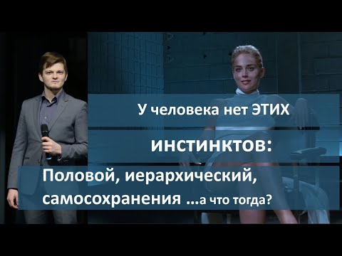 У человека нет ЭТИХ инстинктов: САМОСОХРАНЕНИЯ, ИЕРАРХИЧЕСКИЙ | А что тогда у нас есть???