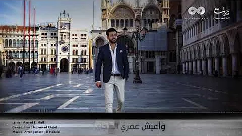 حلوه الدنيا بيك تامر عاشور 2019 حلوه الدنيا بيك تامر عاشور 2019
