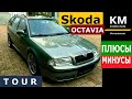 Октавия Тур [TOUR]: ПЛЮСЫ-МИНУСЫ. Стоит ли покупать/пригонять?