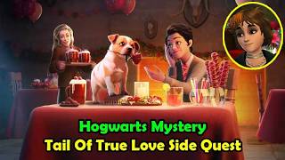 Tail Of True Love Side Quest Harry Potter Hogwarts Mystery screenshot 5