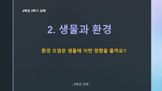 5학년 과학 2학기 2단원 - 환경 오염은 생물에 어떤 영향을 줄까요? [교과서 38~39 / 실험관찰 20]