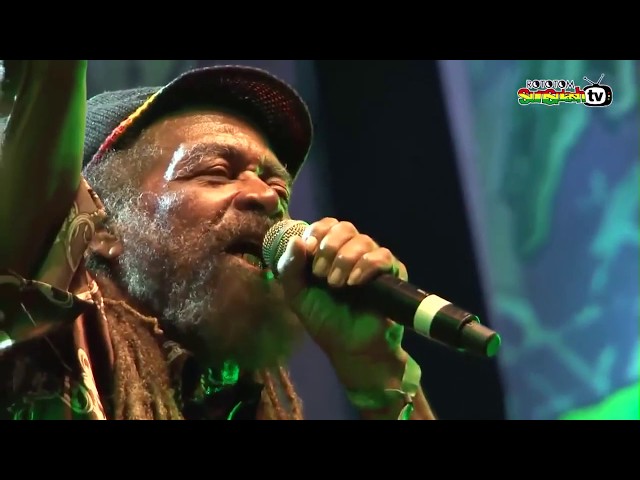 John Holt - Police In Helicopter (Live at Rototom Sunsplash 2013 HD) class=