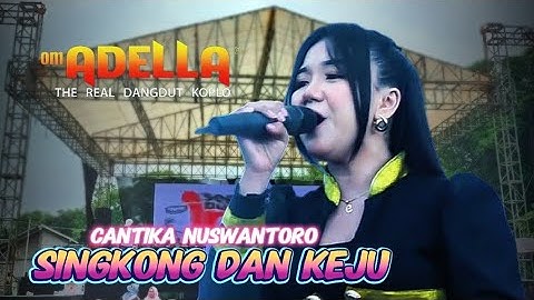 SINKONG DAN KEJU - CANTIKA NUSWANTORO - ADELLA LIVE SOP BUAH IRINE ( WRINGINANOM GRESIK)