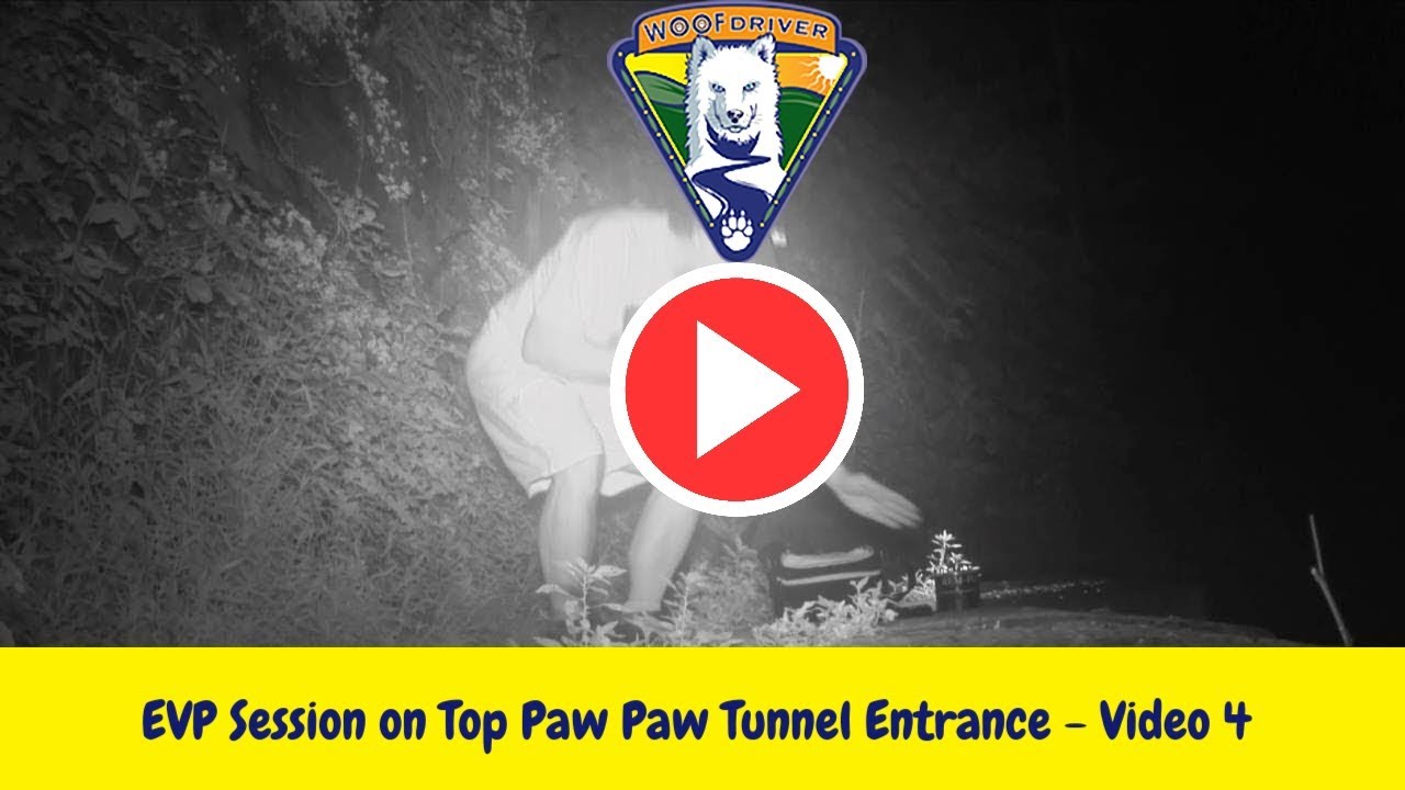 WereWooFS at the Paw Paw Tunnel (Video 4) EVP Session On Top Tunnel Entrance husky siberiano blanco