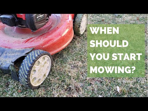 When to Start Mowing Your Lawn in Spring