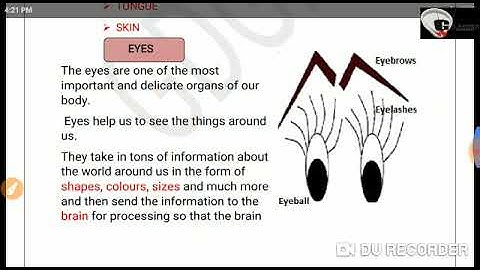 EVS   Grade   2   Dated 02 04 2020