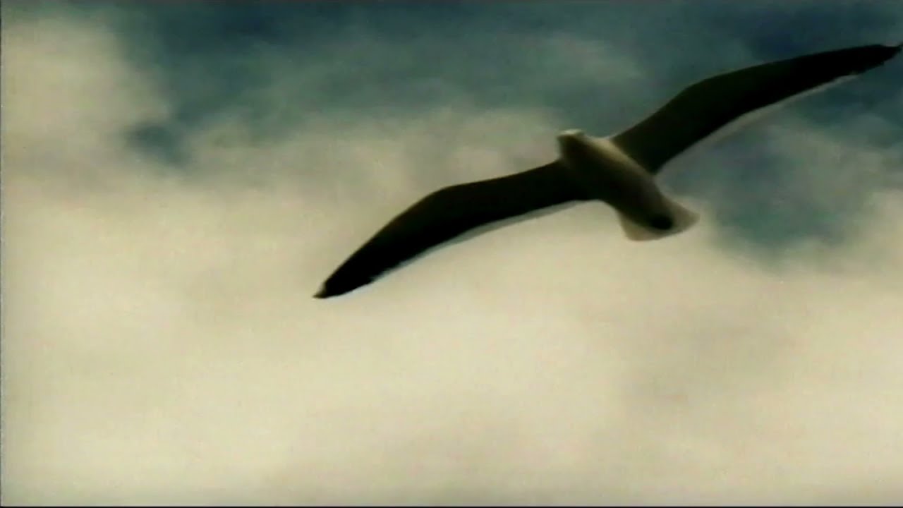 TV2 Ads NZ (2000) Part 1