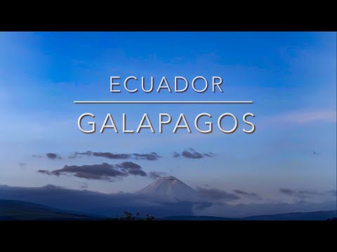 Video: Die Beste Luxuskreuzfahrt Zu Den Galapagos-Inseln In Ecuador