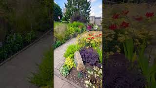 Amersham #garden #travel #flowers #summer #july #plants #sun #gardening #nature #chilterns #gardens