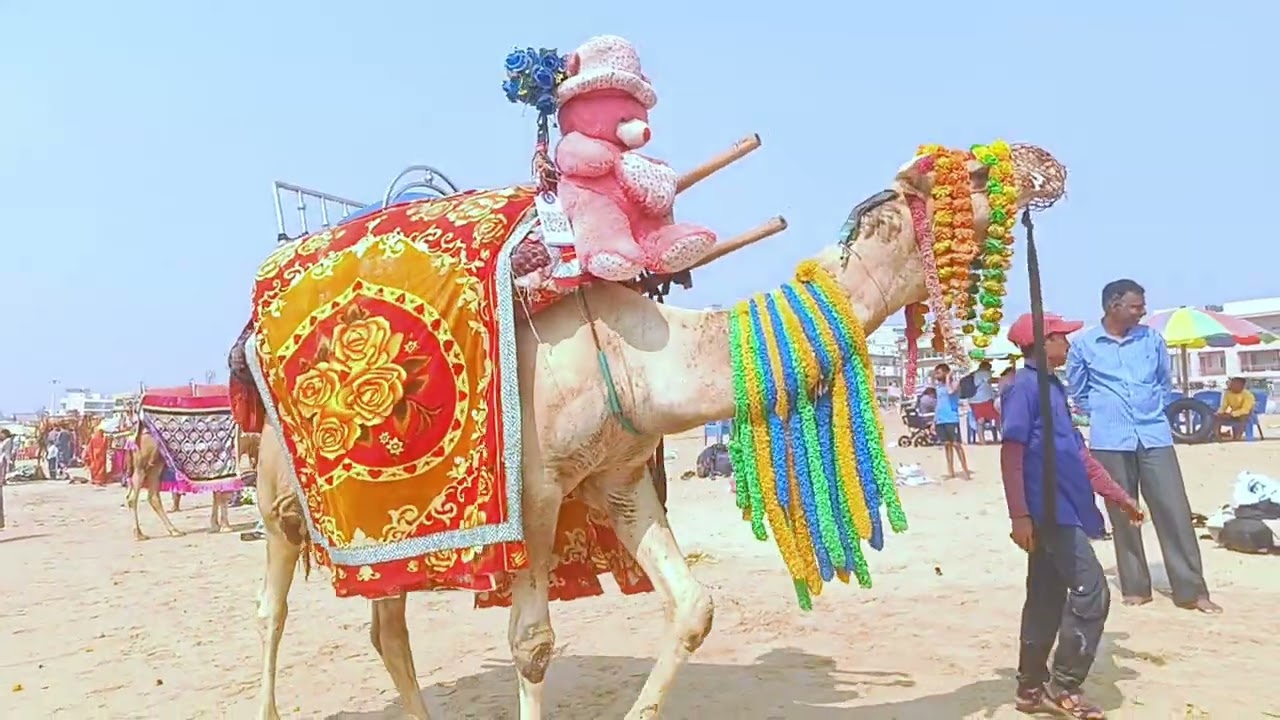 Beach 🏖️ puri odisha बीच में मजा करते हुए 🤣 #puri #puridham #sea #odisha 
