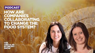 How are small start-ups, SMEs, and large corporations working together to change the food system?