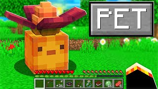 12 NEW Slimes that You can TAME in Minecraft!