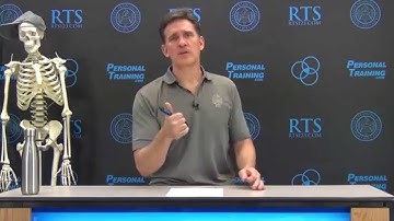 Perspective: Watching YouTube Isn