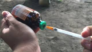 Pagpupurga Ng Bisirong Kambing At Mga Vitamins Na Dapat Iturok goat Deworming