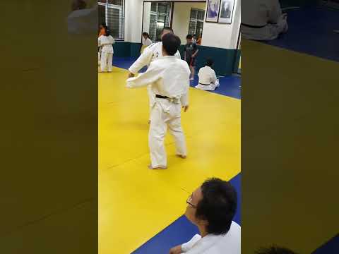 Видео: Was ist ein randori дзюдо?