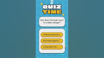 Quiz Questions No One Tells You #quiz #quiztime #quizgames #quizchallenge