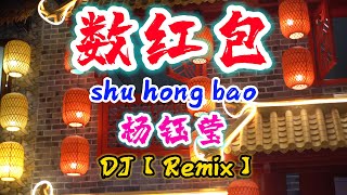 DJ【Remix 新年歌 2024】数红包【杨钰莹】shu hong bao - 新年歌曲 2024 @NiceMusicBox