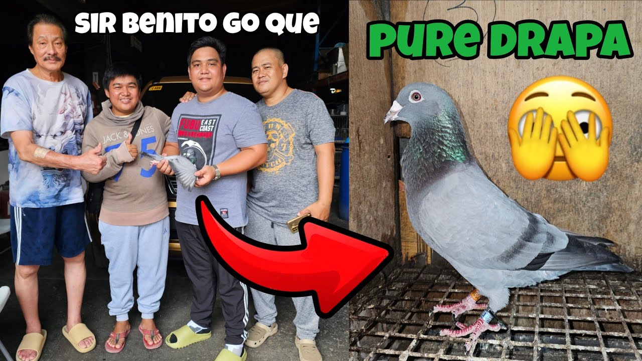 KUMUHA TAYO NG IBON KAY SIR BENITO GO QUE!😱