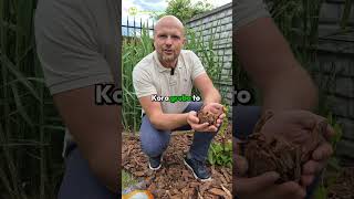 Jaką korę ogrodową wybrać na wyłożenie swojej rabaty? Drobną, średnią czy grubą? 🌿