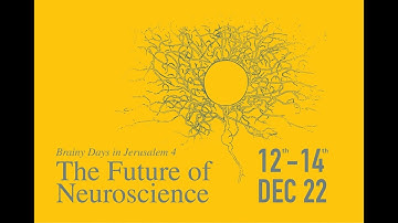 Brainy Days in Jerusalem 2022: Naomi Habib, Hebrew University of Jerusalem