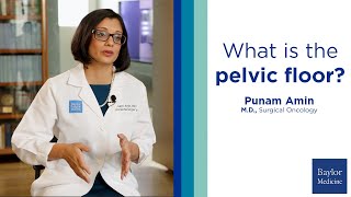 What is the Pelvic Floor? | Dr. Punam Amin