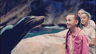 The Rocky District | SeaWorld Yas Island, Abu Dhabi