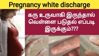 pregnancy symptoms white discharge in tamil | white discharge during early pregnancy tamil