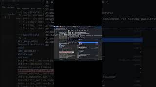 How to  Fix ChromeDriver Version Mismatch in Kali Linux part 2