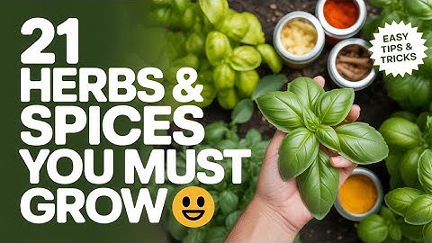 21 Herbs & Spices You Should Always Grow