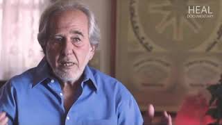 Dr  Bruce Lipton - What Is A Healthy Environment