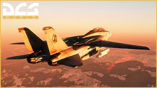 The Most Beautiful Fighter Jet  Extreme Realism In The F14 Tomcat  Rtx 3080  Dcs World F14b