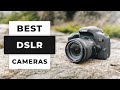 TOP 5 Best DSLR Cameras (2024)